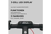 SEGWAY Ninebot E3 D E-Scooter – 10 Zoll, 25 km/h, Klappbar & Stylisch | Schwarz / Silber / Rot